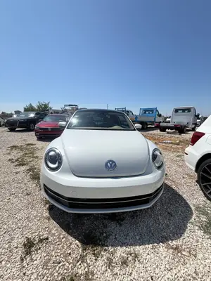 Volkswagen Beetle 2015