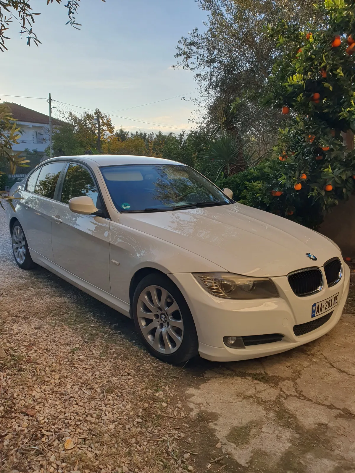 BMW 316D, 2010 — 3