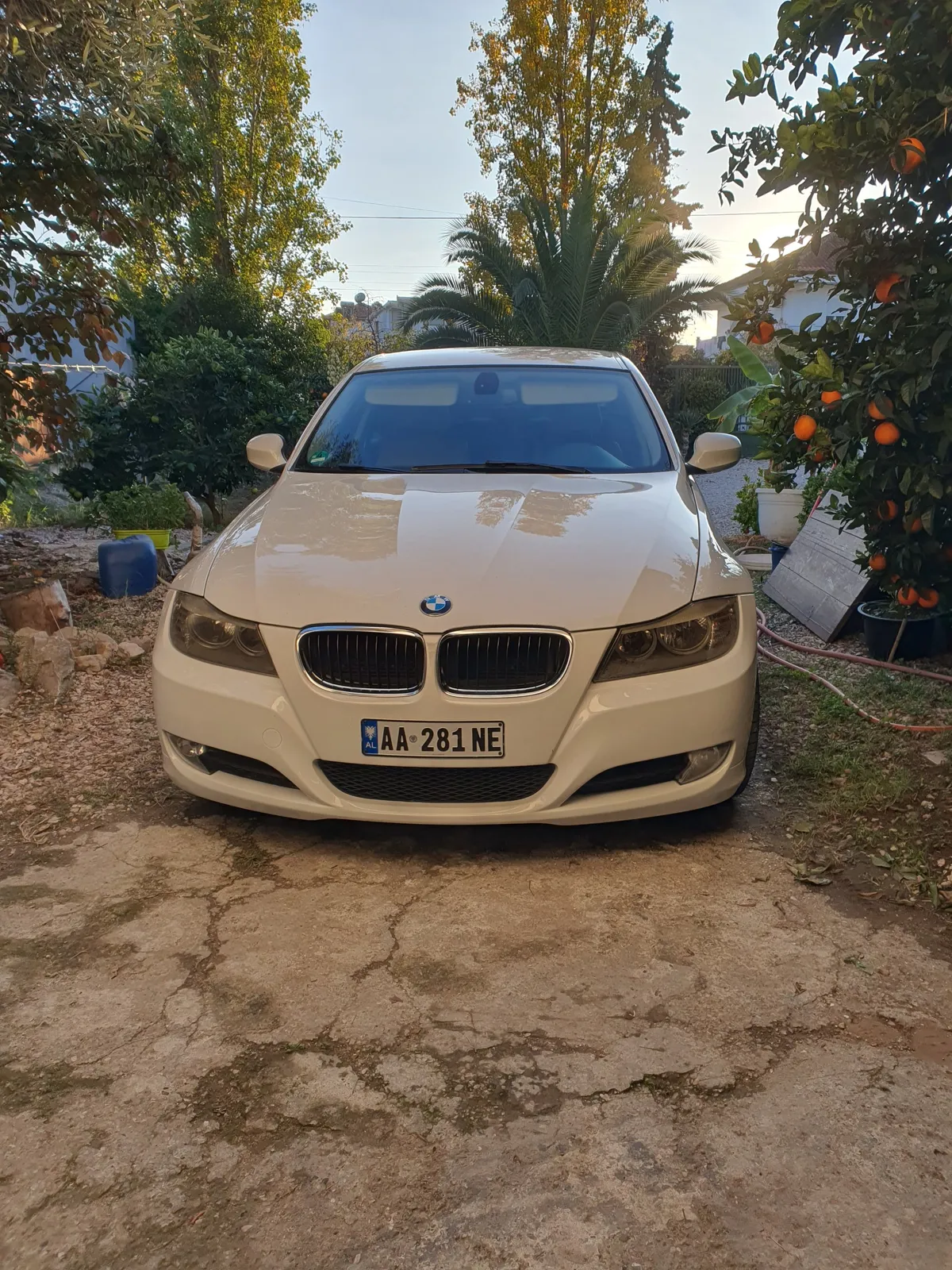 BMW 316D, 2010 — 4