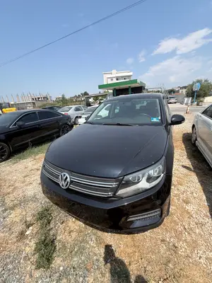 Volkswagen Tiguan 2013